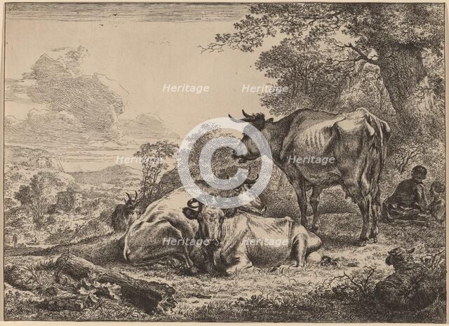 Resting Cows. Creator: Nicolaes Berchem.