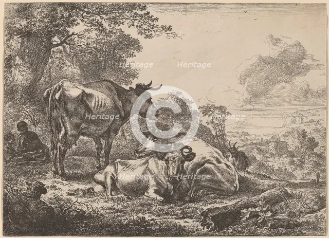 Resting Cows. Creator: Nicolaes Berchem.