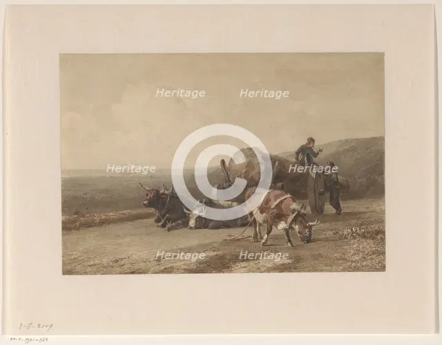 Resting oxen, 1862. Creator: Jan Bedys Tom.