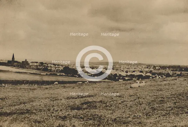 'Resting Sheep in the Pastures of North London: A View of Hampstead Garden Suburb', c1935. Creator: Langfier.