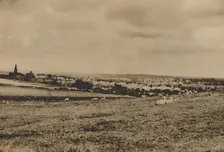 Resting Sheep in the Pastures of North London: A View of Hampstead Garden Suburb c1935. Creator: Langfier