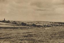 Resting Sheep in the Pastures of North London: A View of Hampstead Garden Suburb c1935. Creator: Langfier