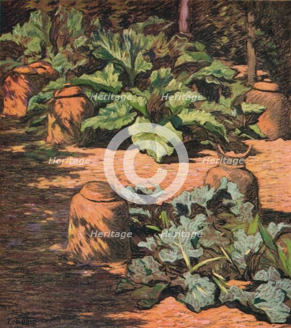 'Rhubarb and Seakale', c1927. Artist: Esther Sutro.