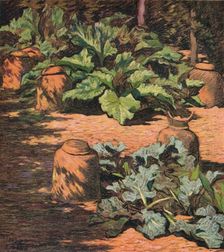 Rhubarb and Seakale c1927. Artist: Esther Sutro