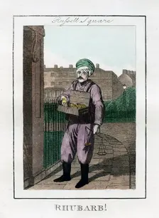 Rhubarb Russell Square, London, 1805
