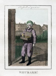 Rhubarb Russell Square, London, 1805