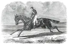 Rhedycina, Winner of the Oaks Stakes, at Epsom, 1850. Creator: Unknown