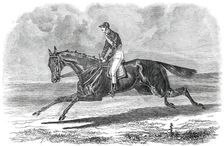 Rhedycina, Winner of the Oaks Stakes, at Epsom, 1850. Creator: Unknown