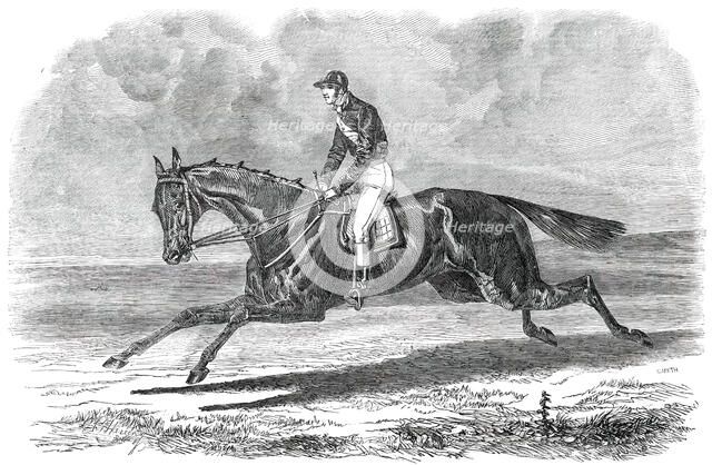 Rhedycina, Winner of the Oaks Stakes, at Epsom, 1850. Creator: Unknown.