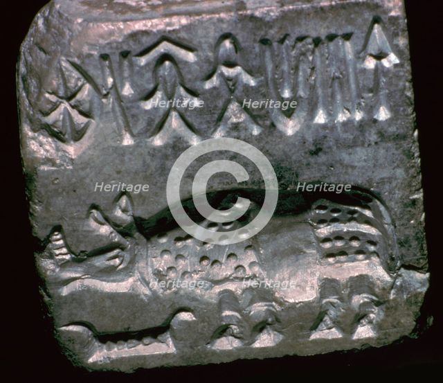 Rhinoceros in a Pakistani steatite seal, 25th century BC. Artist: Unknown