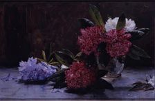 Rhododendrons, 1875-1899. Creator: George Reid