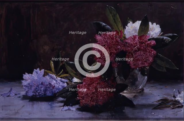 Rhododendrons, 1875-1899. Creator: George Reid.