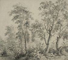 River bank with a row of trees. Creator: Anthonie Waterloo