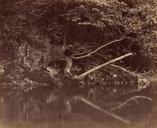 River Bank in the Vale of Neath, c. 1855. Creator: G. B. Gething