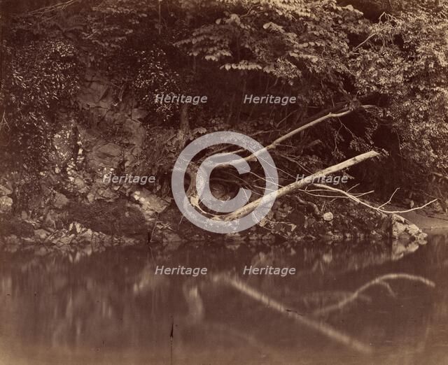 River Bank in the Vale of Neath, c. 1855. Creator: G. B. Gething.