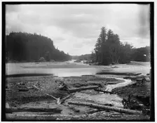 River below falls, Quinnesec [sic] Falls, Mich., between 1880 and 1899. Creator: Unknown