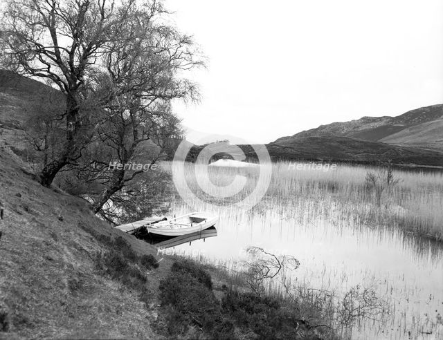 River Gaur, Scotland, c1955.  Creator: Arthur Charles Kirby Ware.