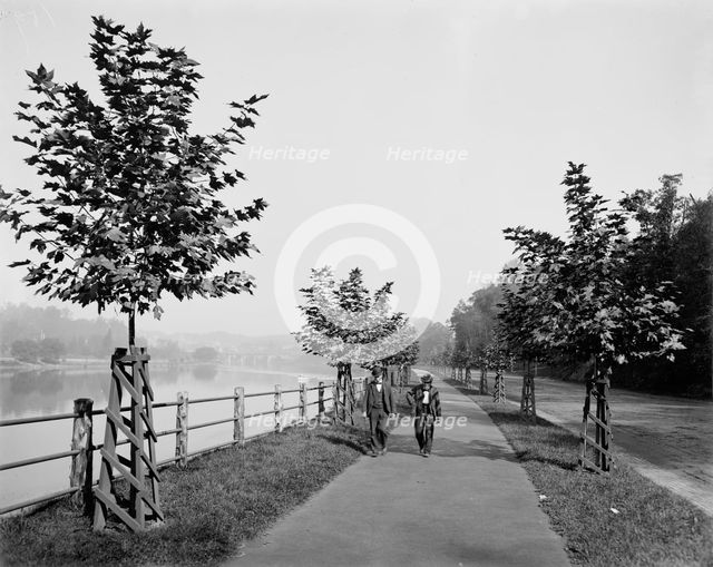 River Drive, Fairmount Park, Philadelphia, between 1900 and 1906. Creator: Unknown.