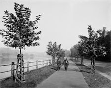 River Drive, Fairmount Park, Philadelphia, between 1900 and 1906. Creator: Unknown