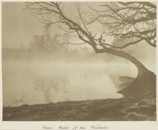 River mists of the Waikato. From the album: Camera Pictures of New Zealand, 1920s. Creator: Harry Moult