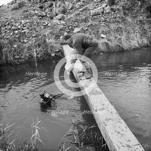 River Nar where the Fens gas pipeline crosses the river, Norfolk, 20/09/1967. Creator: John Laing plc.