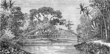 River Scene, Borneo; A Visit to Borneo 1875. Creator: A.M. Cameron