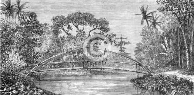 River Scene, Borneo; A Visit to Borneo', 1875. Creator: A.M. Cameron.