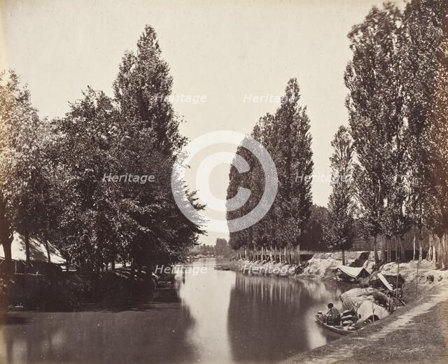 River With Trees (India), Printed 1868 circa. Creator: Samuel Bourne.