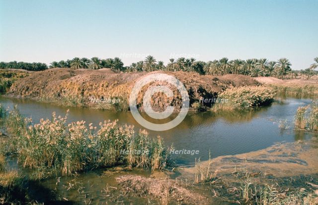 River Tigris by the Tower of Babel, Babylon, Iraq. Creator: Vivienne Sharp.