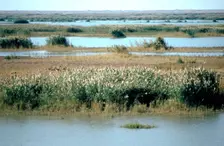 River Tigris from the doorway of the ruined Caliph's Palace, Samarra, Iraq, 1977. Creator: Vivienne Sharp
