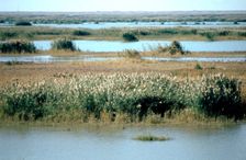 River Tigris from the doorway of the ruined Caliph's Palace, Samarra, Iraq, 1977. Creator: Vivienne Sharp
