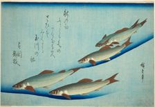 River trout, c. 1832/44. Creator: Ando Hiroshige