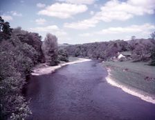 River Tweed near Melrose, The Borders, Scotland, c1955. Creator: Arthur Charles Kirby Ware