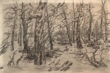 River Vakh, 1928. Creator: Dmitrii Innokent'evich Karatanov