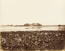 River View with Seventeen Arch Bridge, Yuan Ming Yuan, Peking, 1860. Creator: Felice Beato