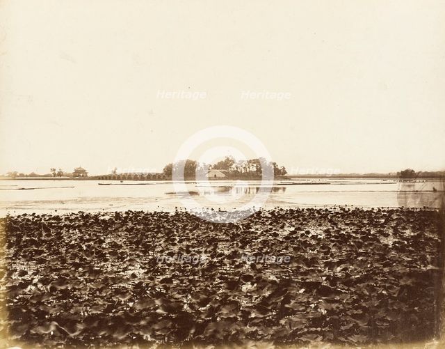 River View with Seventeen Arch Bridge, Yuan Ming Yuan, Peking, 1860. Creator: Felice Beato.