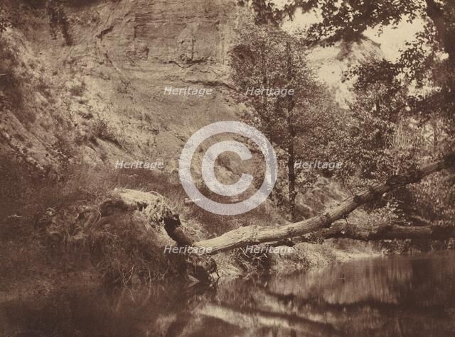 Riverbank, c. 1855. Creator: Frank Chauvassaigne.