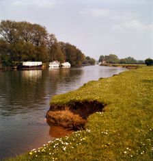 Riverbank with daisies, West Berkshire, late 1960s or early 1970s. Artist: John Gay