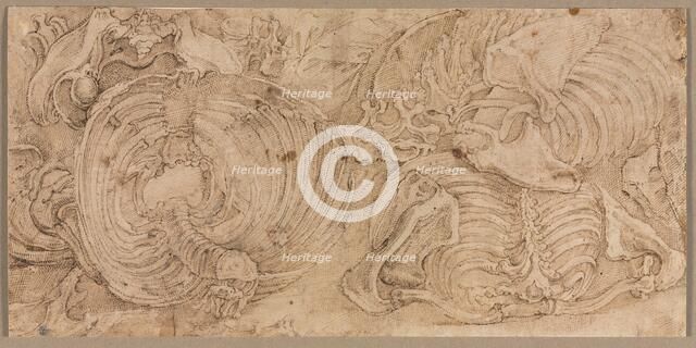 Rib Cages, early 1540s. Creator: Battista Franco (Italian, c. 1510-1561).