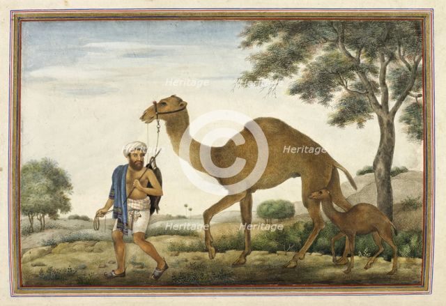 Ribari, a caste of camel-men, 1825. Creator: Anon.