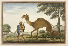 Ribari, a caste of camel-men, 1825. Creator: Anon