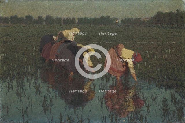 Rice workers, 1897. Creator: Morbelli, Angelo (1853-1919).