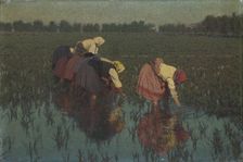 Rice workers, 1897. Creator: Morbelli, Angelo (1853-1919)