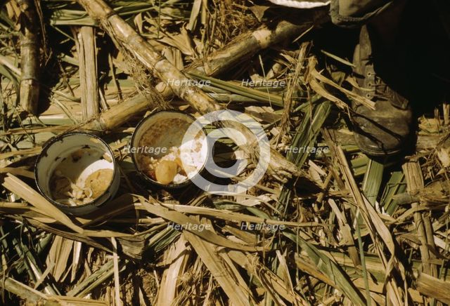Rice and papaya in the lunch of a sugar worker on a plantation..., Guanica, Puerto Rico, 1942. Creator: Jack Delano.