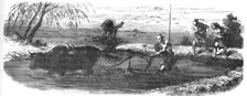 Rice cultivation; A European Sojourn in Japan 1875. Creator: Unknown
