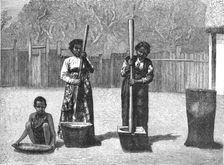 Rice-Pounding; A Birds-eye View of Madagascar 1875. Creator: M.D Charnay