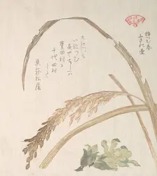 Rice Plant and Butter-Burs, 19th century. Creator: Kubo Shunman