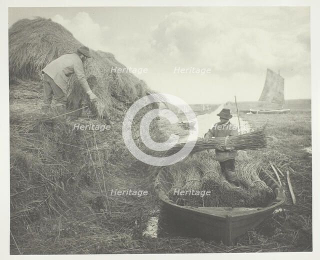 Ricking the Reed, 1886. Creator: Peter Henry Emerson.