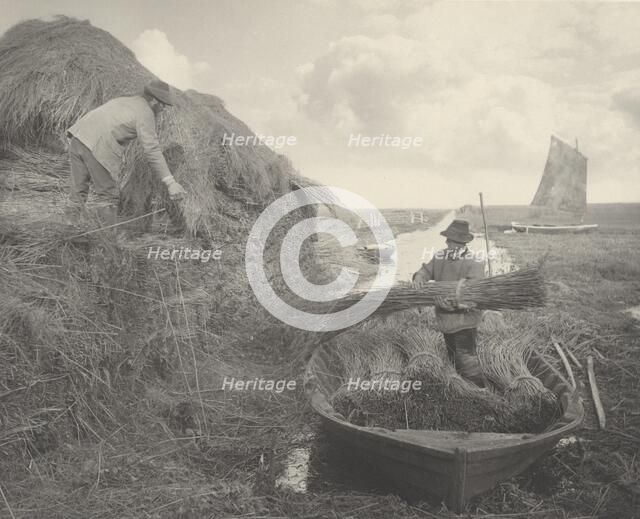 Ricking the Reed, 1886. Creators: Dr Peter Henry Emerson, Thomas Frederick Goodall.