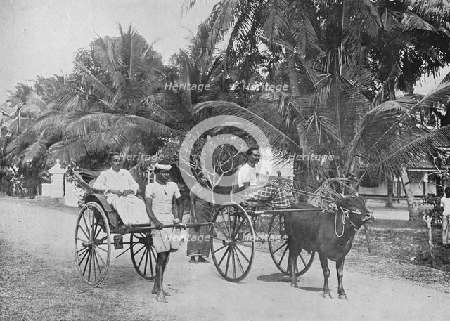 'Rickshaw and Racing Hackery', c1890, (1910). Artist: Alfred William Amandus Plate.